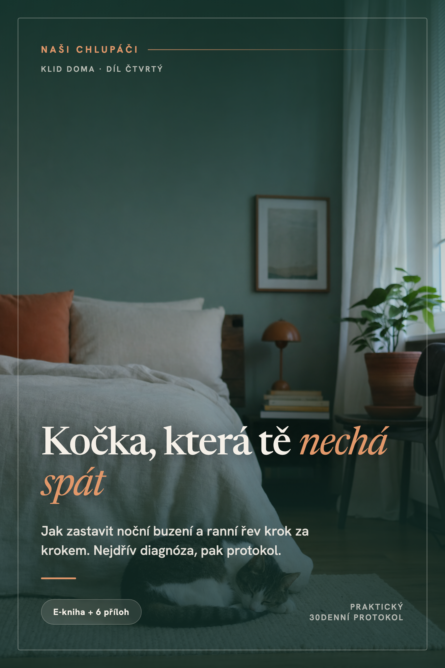 Obálka knihy Kočka, která tě nechá spát