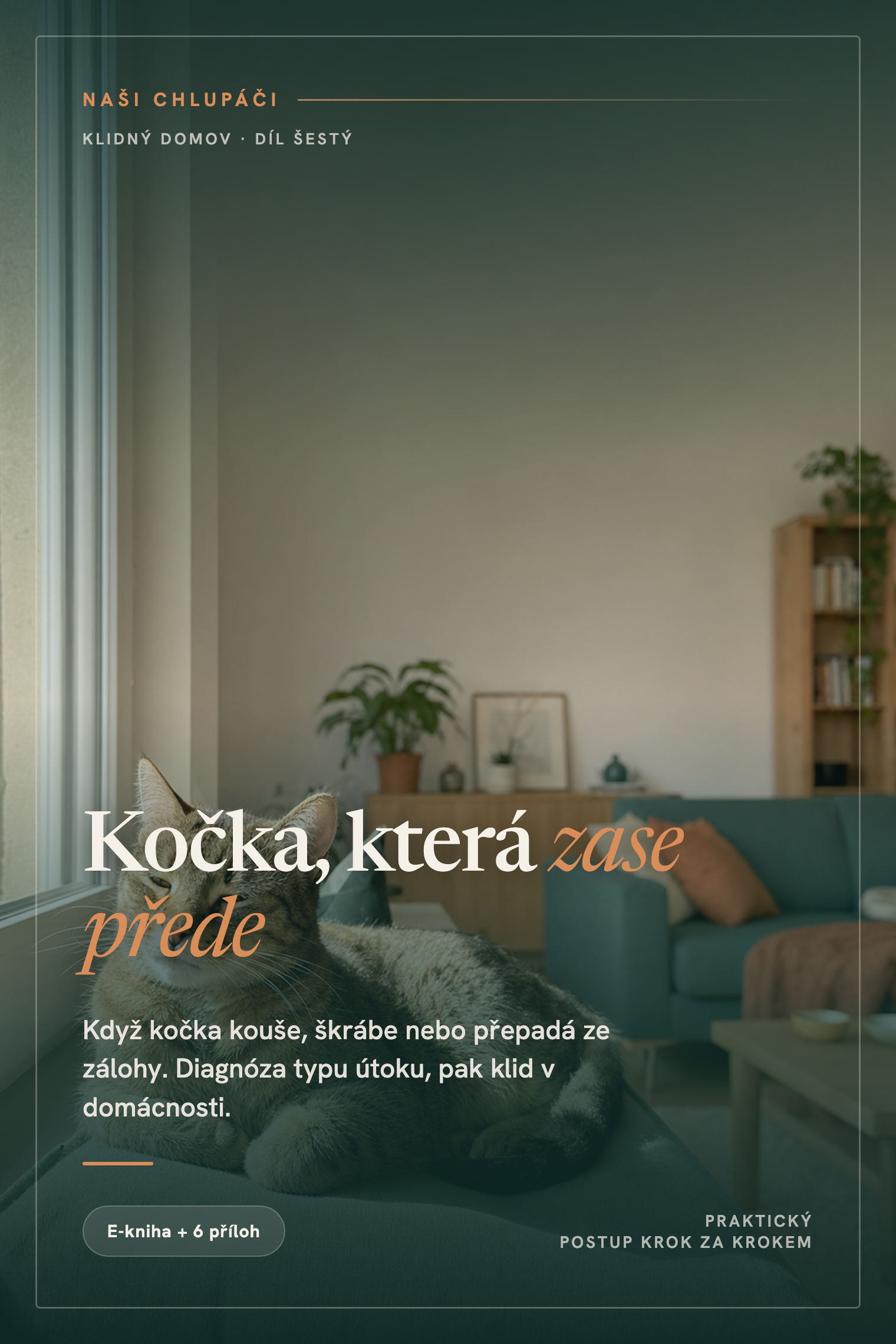 Obálka knihy Kočka, která zase přede