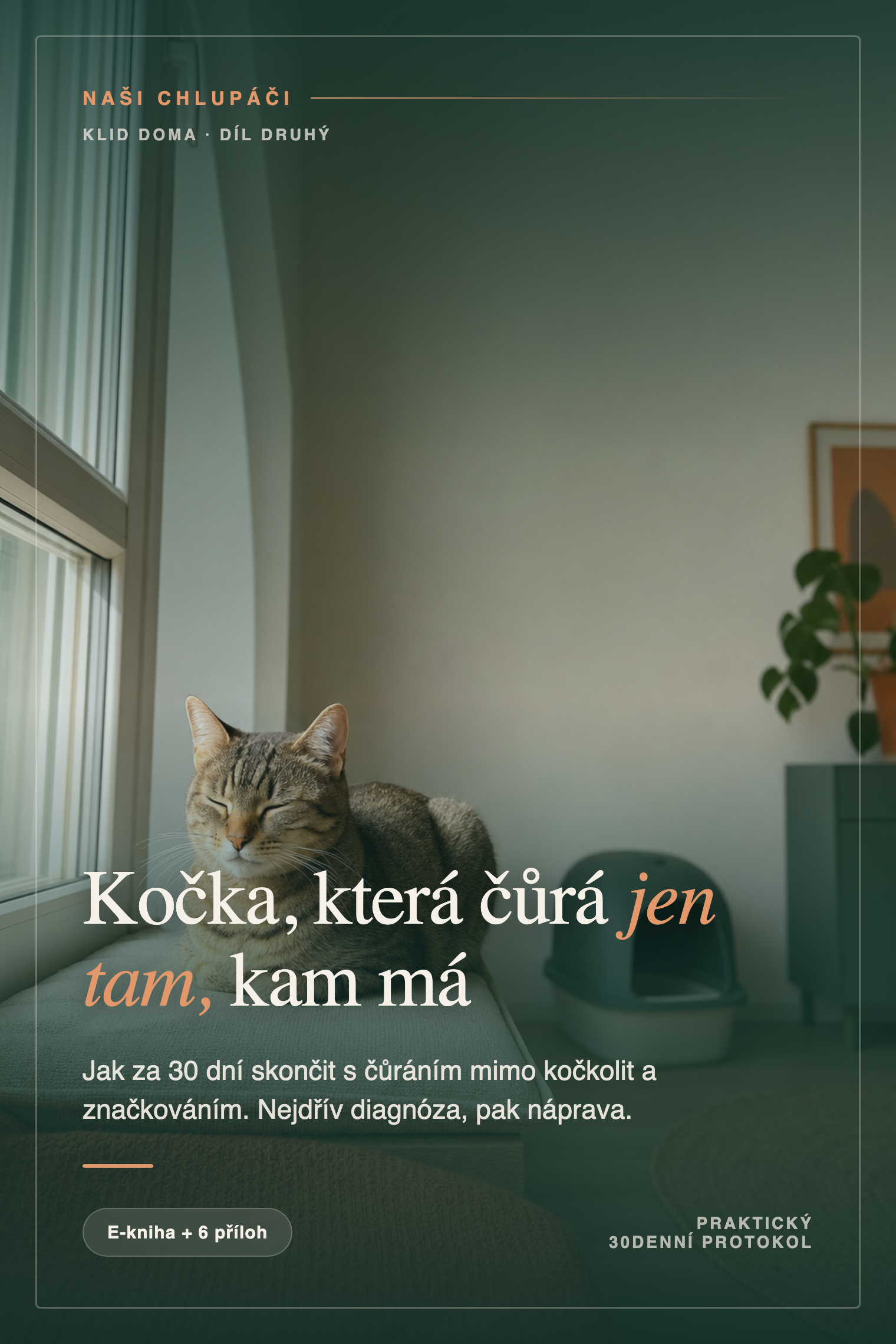 Kočka, která čůrá jen tam, kam má
