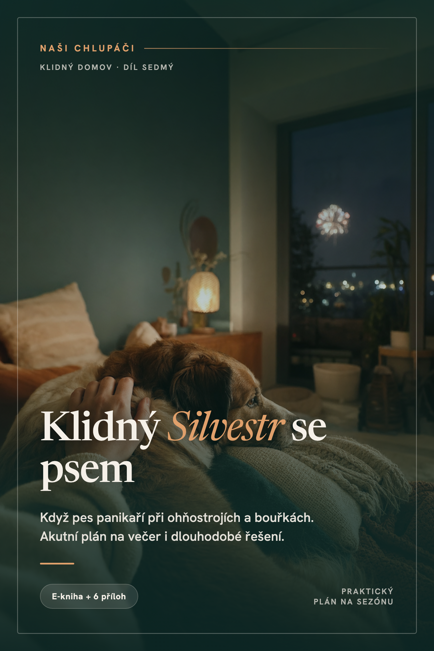 Obálka knihy Klidný Silvestr se psem