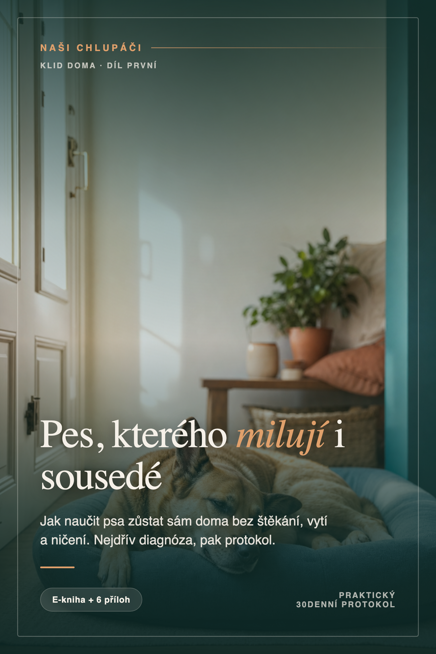 Pes, kterého milují i sousedé