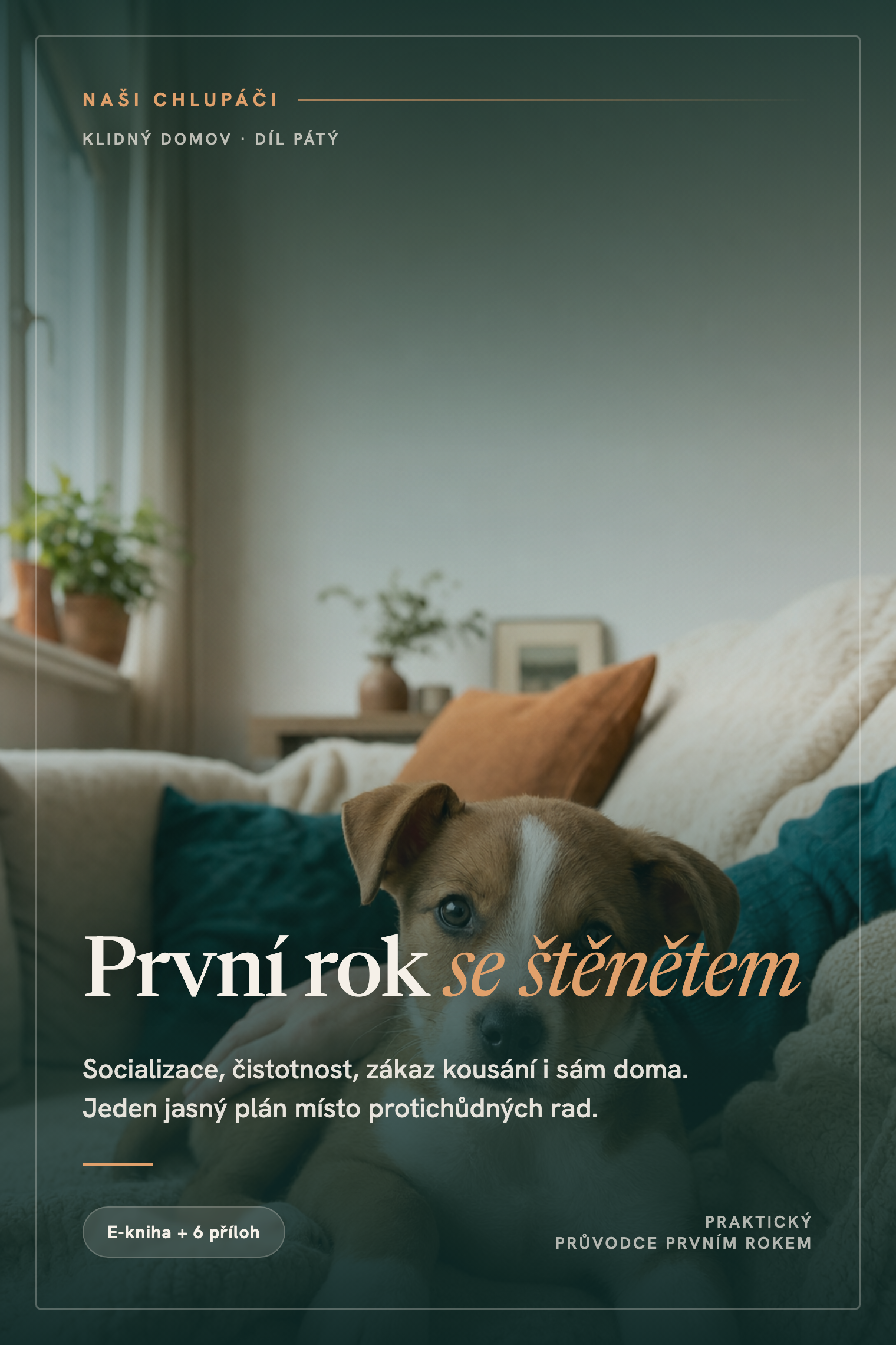 Obálka knihy První rok se štěnětem