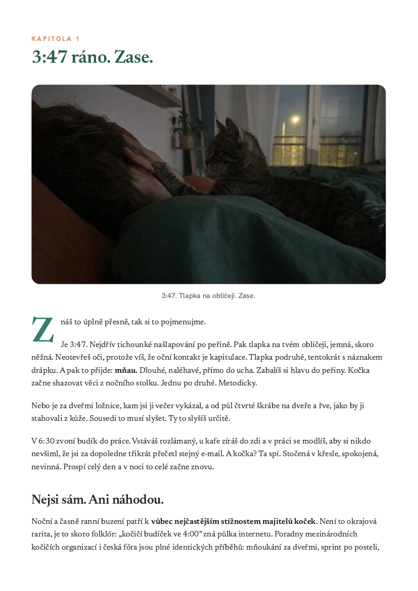 Ukázka strany: 3:47 ráno. Zase.