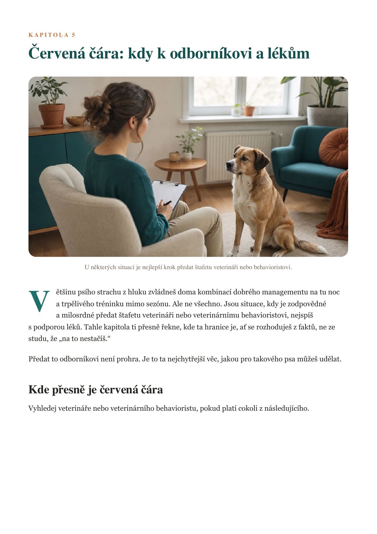 Ukázka strany: bezpečný bunkr